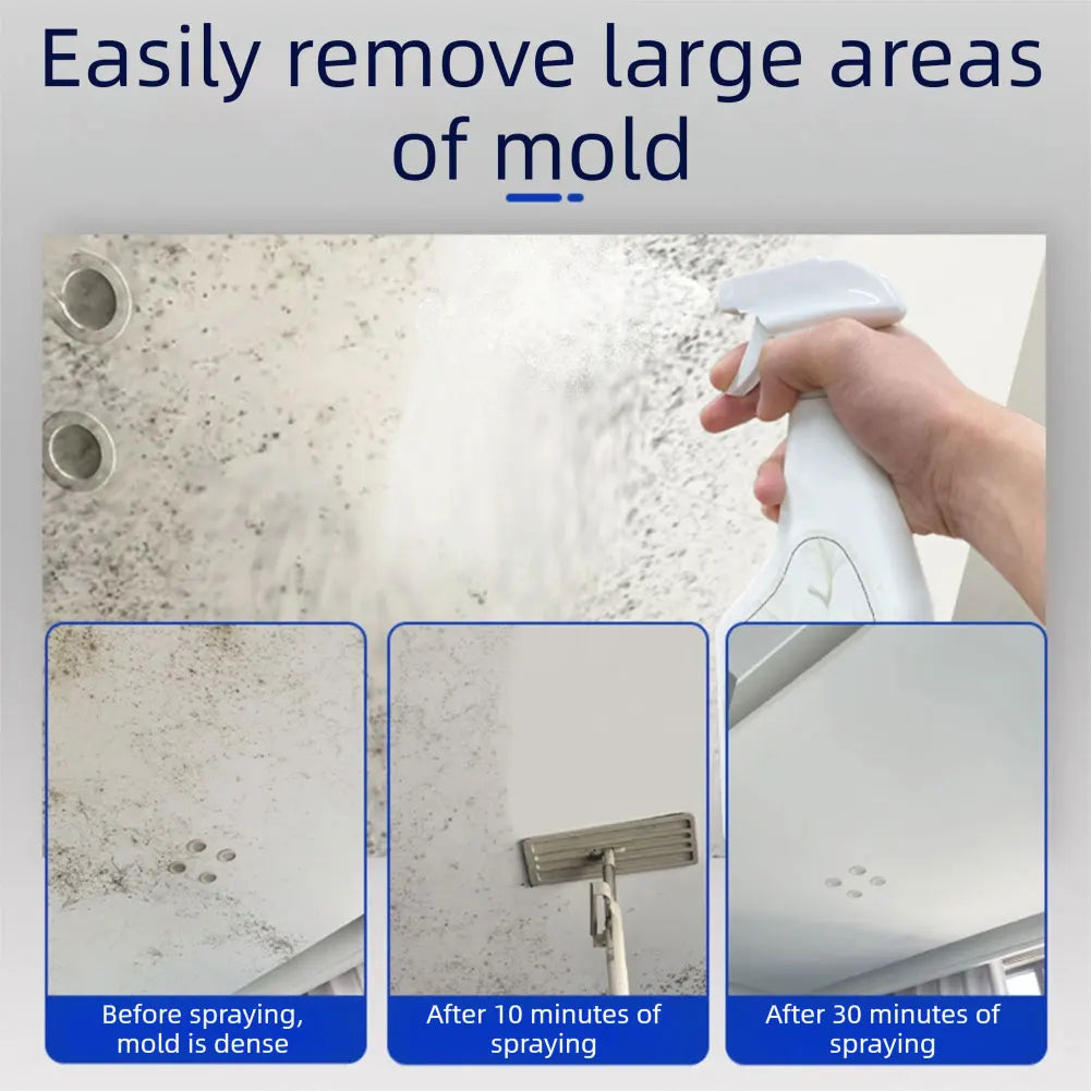 1PCS Highly Effective Removal Spray 240ml Multi-Surface Cleaning Solution Wall Stain Remover Anti Mold Agent For Walls Cleaning