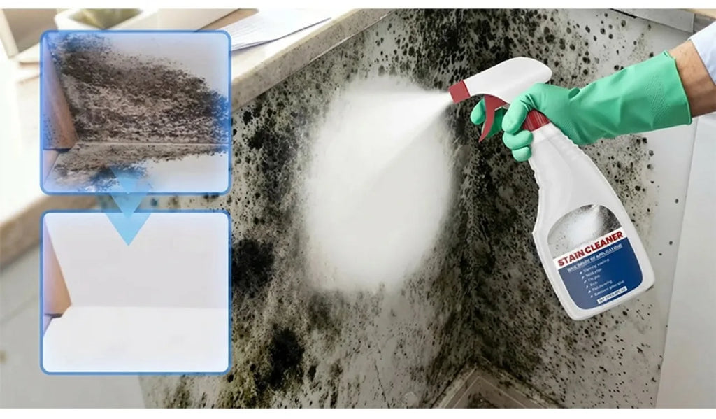 Household Mildew Removal Spray Cleaning Bathroom Wall Renovation Mold & Stain Removal For Bathroom, Office