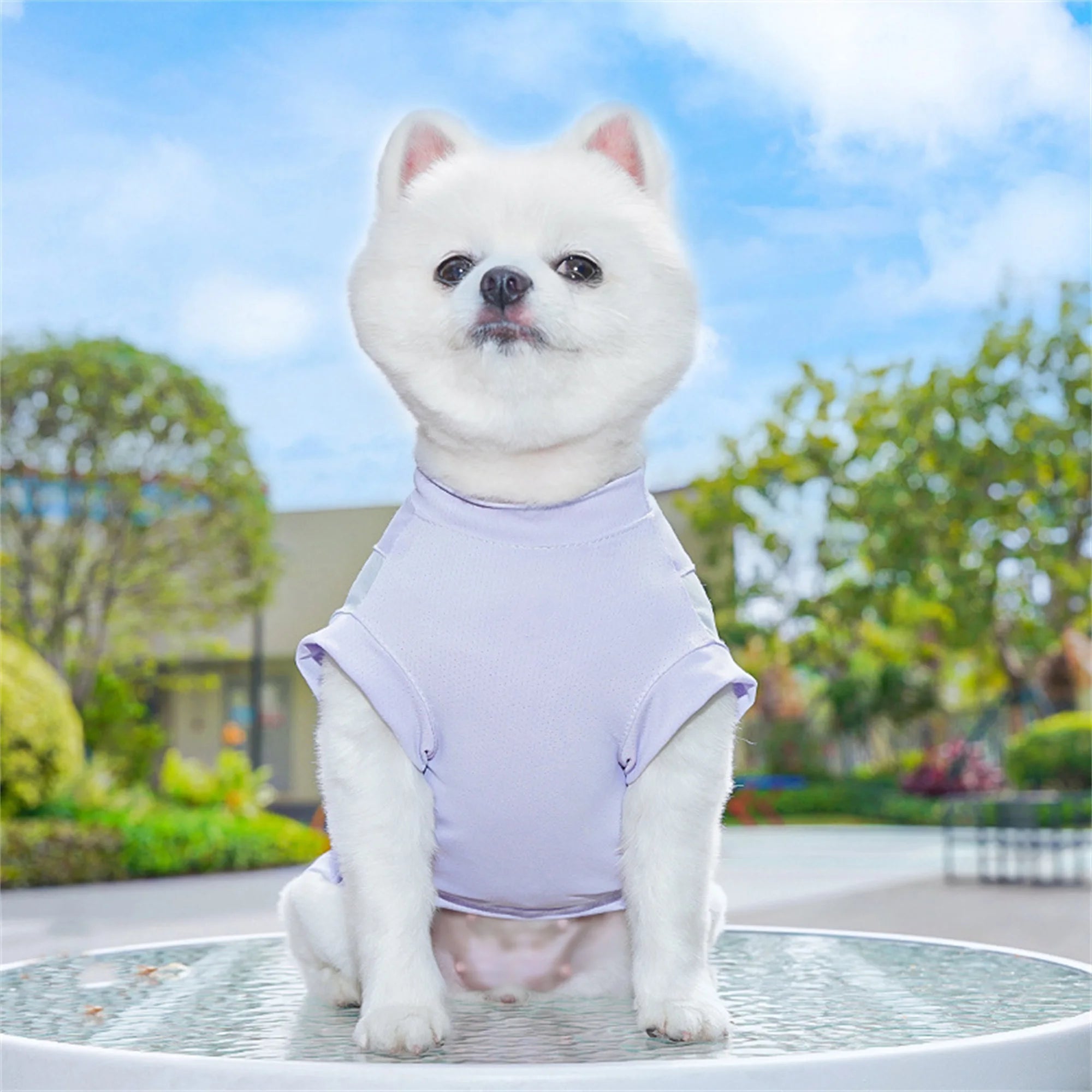 Breathable Cooling Dog T-Shirt with Ice Silk Material for Cats and Puppies - Lightweight and Soft Pet Tank Tops in Contrast