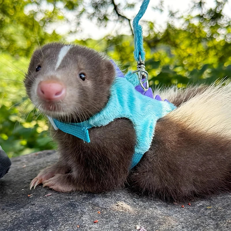 Ferret Lead Rope Vest Type Adjustable Pet Rope Cute Dinosaur Shape with Bell for Walking Mice